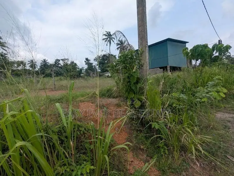 යක්කල කලගෙඩිහේන නගර වලට ආසන්නයෙන් පර්චස් 12.5ක වටිනා ඉඩමක් /ST 11058