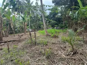 20.3 Perch Residential Land for Sale in Hasthipura, Rambukkana