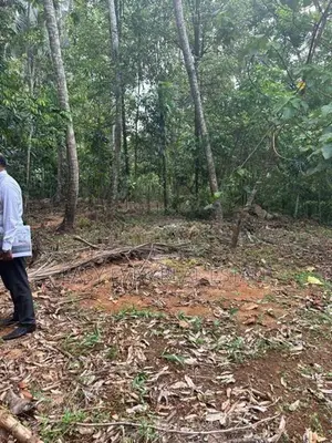 නිට්ටඹුව රුවන්වැල්ල පාරට සෘජුවම මායිම් වූ පර්චස් 409 ක වටිනා ඉඩමක්