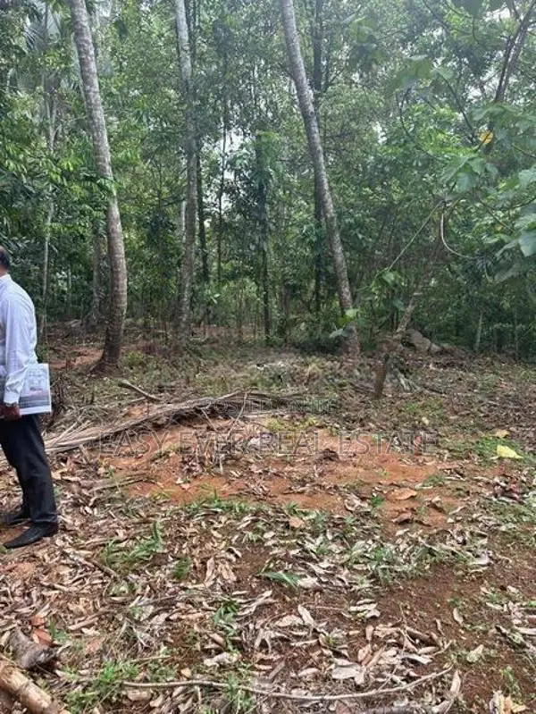 නිට්ටඹුව රුවන්වැල්ල පාරට සෘජුවම මායිම් වූ පර්චස් 409 ක වටිනා ඉඩමක්