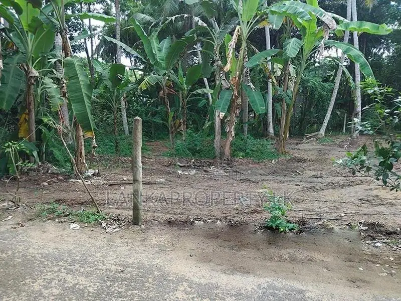 Valuable Land for Sale in Hikkaduwa Tourist Zone
