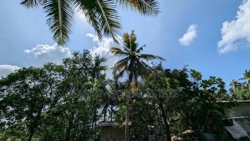 බියගමින් පර්චස් 10යි ඉඩම්