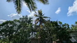 බියගමින් පර්චස් 10යි ඉඩම්