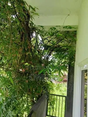 Non Ac Annex Room for rent Kiribathgoda