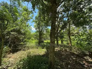 70 Perch Land for Sale Near Govijana Sewa Center - Embilipitiya
