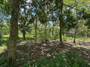 70 Perch Land for Sale Near Govijana Sewa Center - Embilipitiya