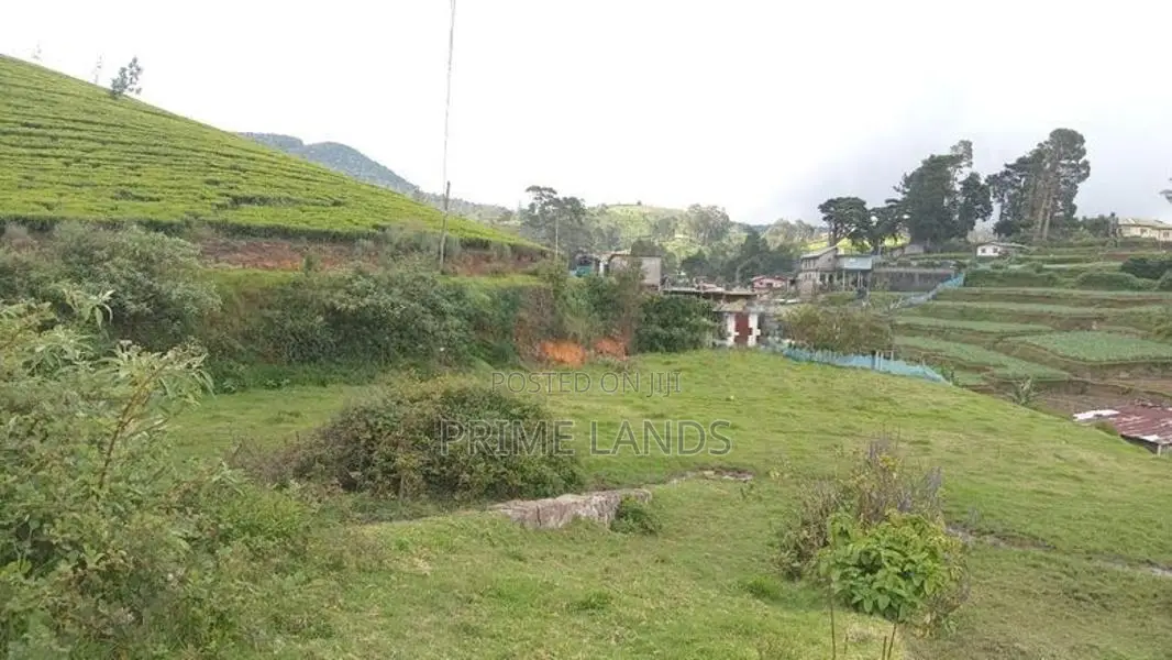 Land for sale Nuwara Eliya 7 km