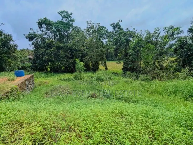 හංවැල්ල තිත්තපත්තර පර්චස්10 ක ඉඩම