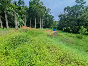 හංවැල්ල තිත්තපත්තර පර්චස්10 ක ඉඩම