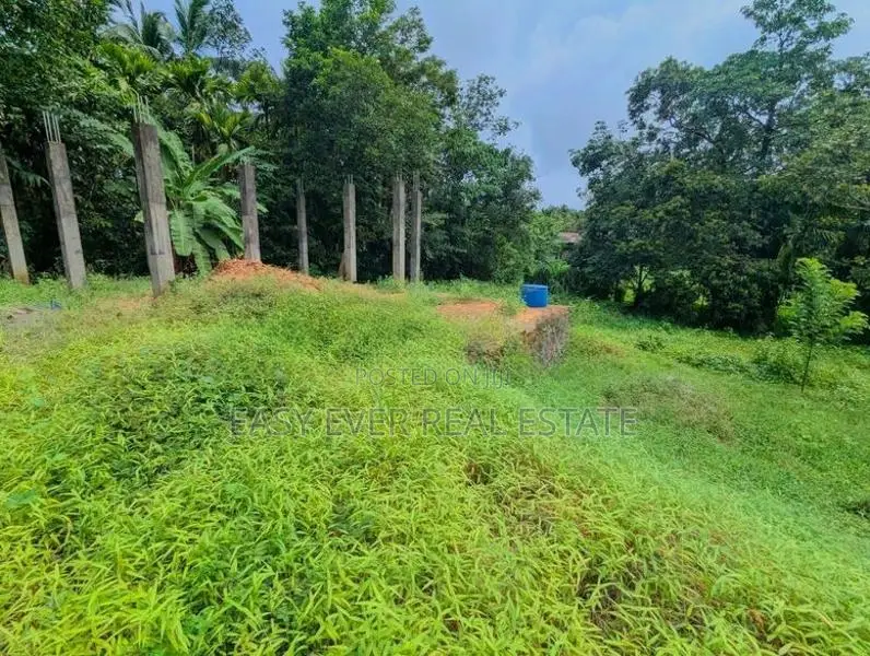 හංවැල්ල තිත්තපත්තර පර්චස්10 ක ඉඩම