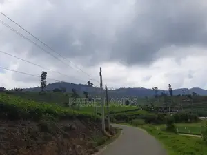 Valuable Land for Nuwara Eliya