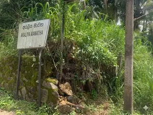 ආටිගල මීගොඩ පාරට අගනා බිම් කොටසක් YS 13820