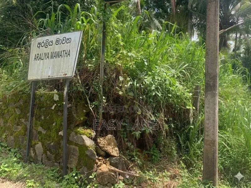 ආටිගල මීගොඩ පාරට අගනා බිම් කොටසක් YS 13820