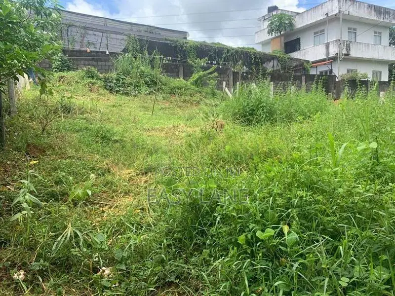 ආටිගල මීගොඩ පාරට අගනා බිම් කොටසක් YS 13820