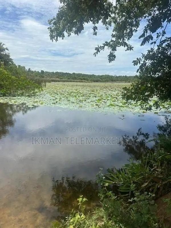 Land for Sale in Kahandamodara, Ranna