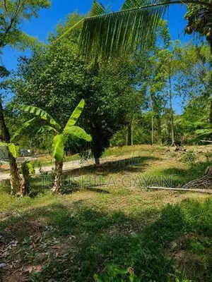 Land For Sale Makola