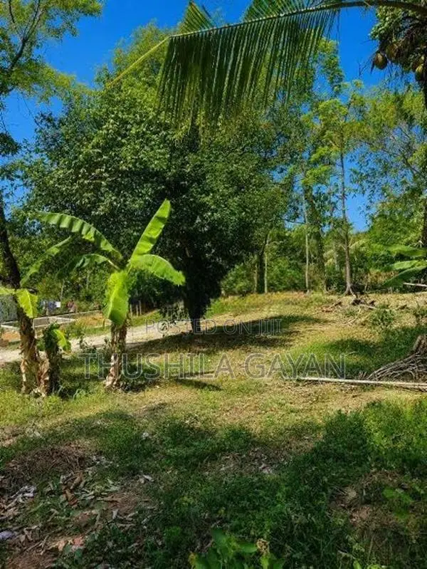 Land For Sale Makola