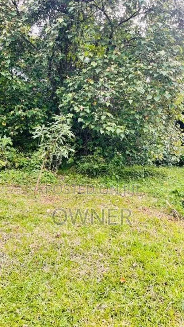 Valuable Land for Sale in Horana City Limits
