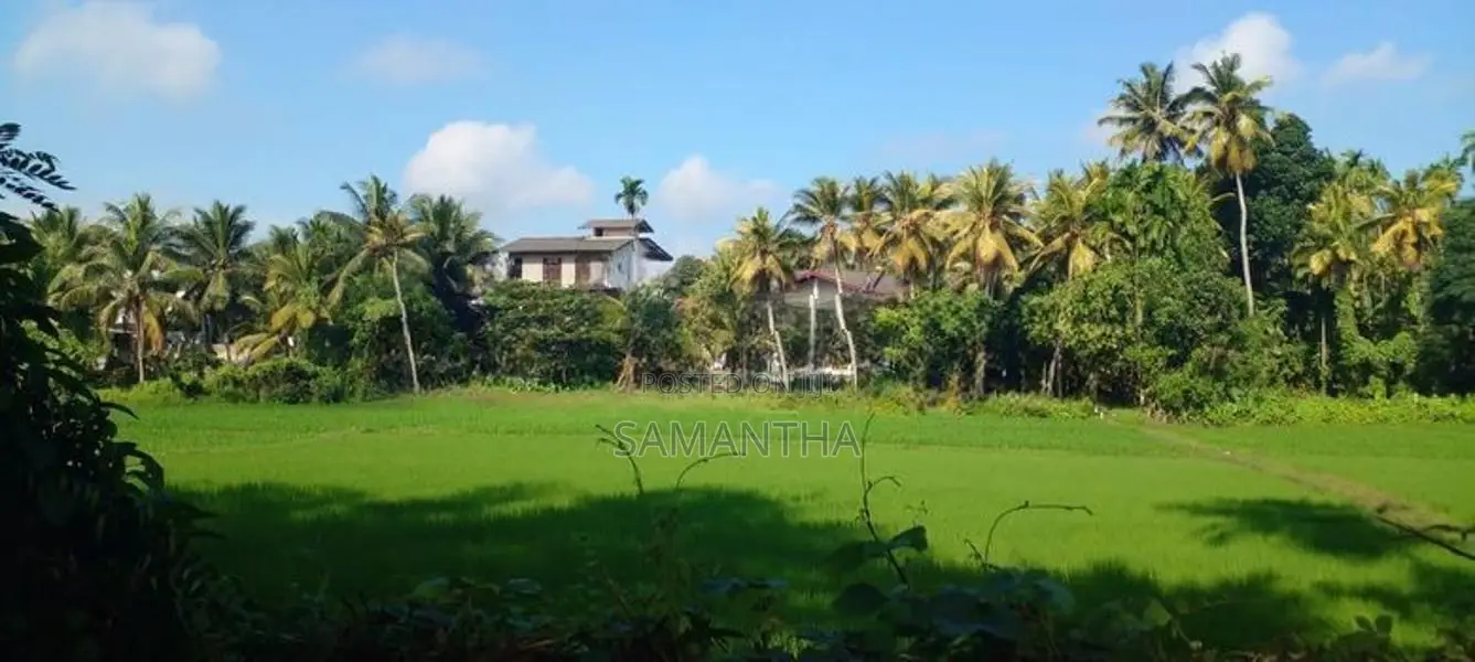 Kiribathgoda- Delgoda Paddy Field Facing Land for Sale