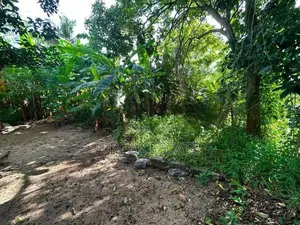 Land for Sale in Ja Ela (Ref 46)