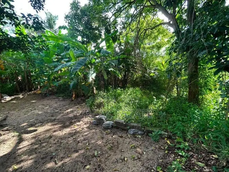 Land for Sale in Ja Ela (Ref 46)