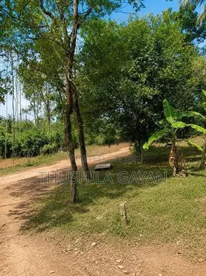 Land For Sale Makola