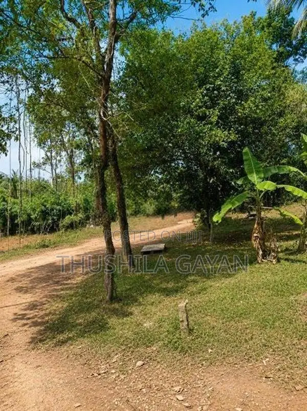 Land For Sale Makola