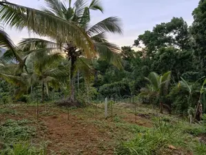 Land for Sale in Gampola