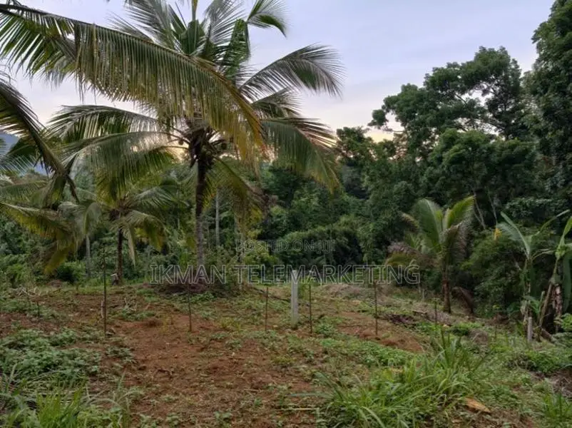 Land for Sale in Gampola