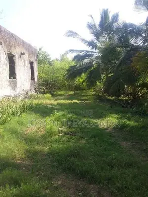 Land for Sale - Thondaimanaru