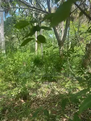Land for Sale in Kahandamodara, Ranna