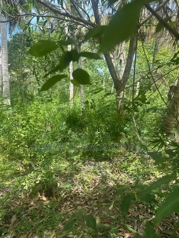 Land for Sale in Kahandamodara, Ranna