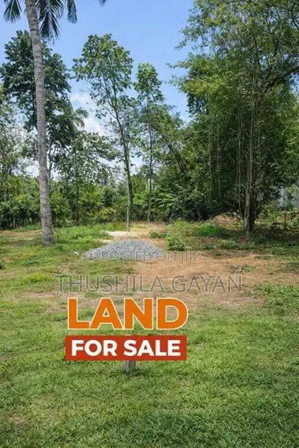 Land For Sale Makola