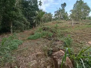 Land for Sale in Gampola