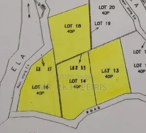 1-Acre Mahogany Planted Land for Sale in Matale