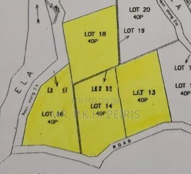 1-Acre Mahogany Planted Land for Sale in Matale