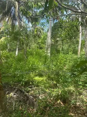 Land for Sale in Kahandamodara, Ranna