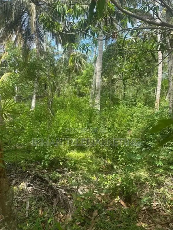 Land for Sale in Kahandamodara, Ranna