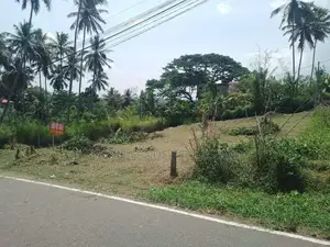 Residential Land for Sale in Kandy (SP1233)