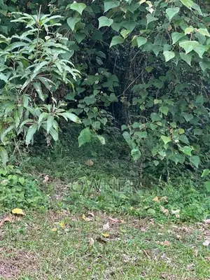 Valuable Land for Sale in Horana City Limits
