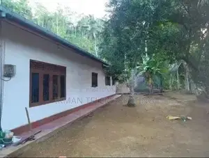 Cinnamon Land for Sale in Elpitiya