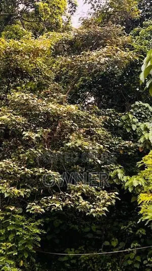 Valuable Land for Sale in Horana City Limits