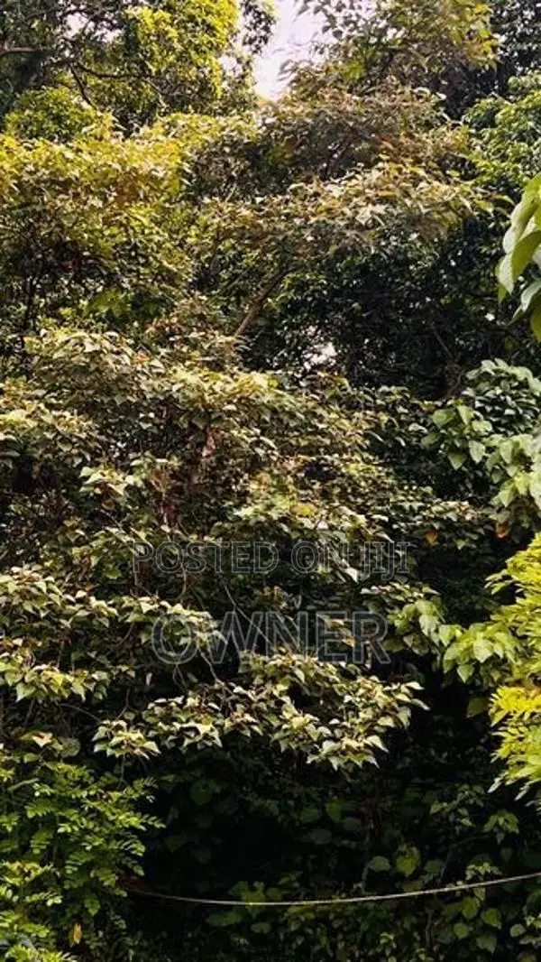 Valuable Land for Sale in Horana City Limits