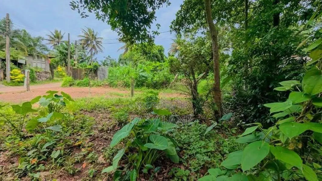 කඩවතින් අඩි 20 පාරකට මුහුනලා පර්චස් 7.3 බිම් කොටසක් KM 12628