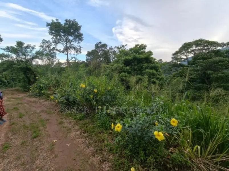 Land for Sale in Gampola
