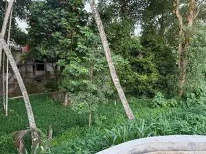 Land for Sale Kandy