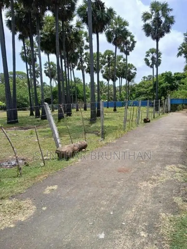 காணி விற்பனை-Jaffna