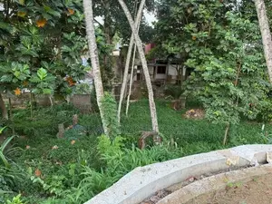 Land for Sale Kandy