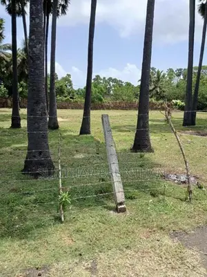காணி விற்பனை-Jaffna