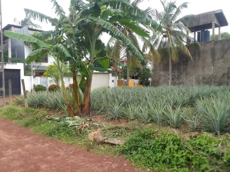 Land for Sale Kandana